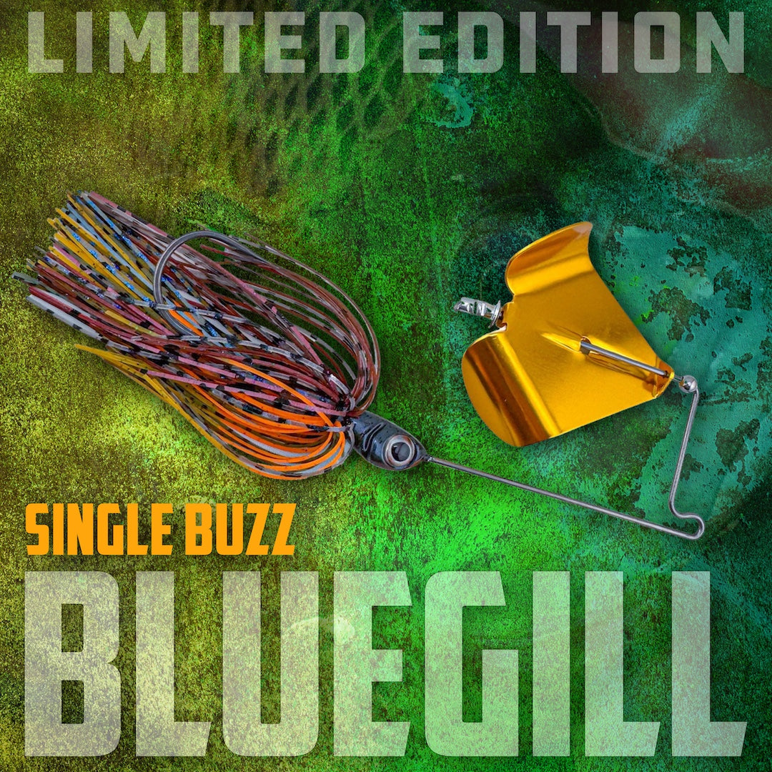 Limited Edition Bluegill Single Buzz