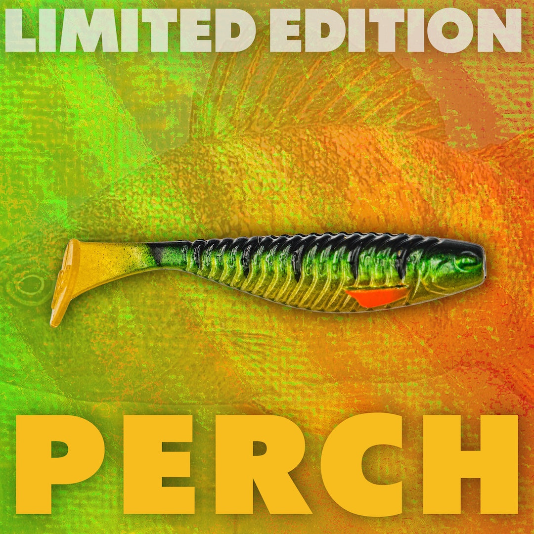 Limited Edition Perch Swimming Minner