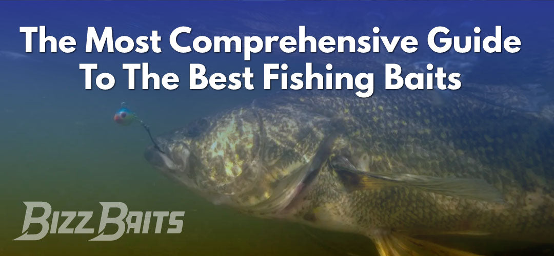 The Most Comprehensive Guide to The Best Fishing Baits