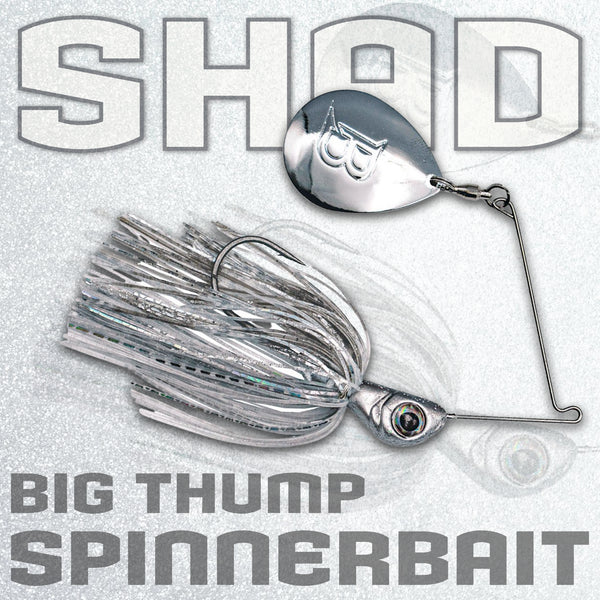 Limited Edition Shad - Big Thump Spinnerbait