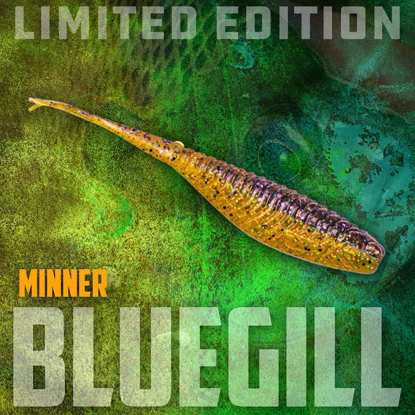 Limited Edition Bluegill Minner