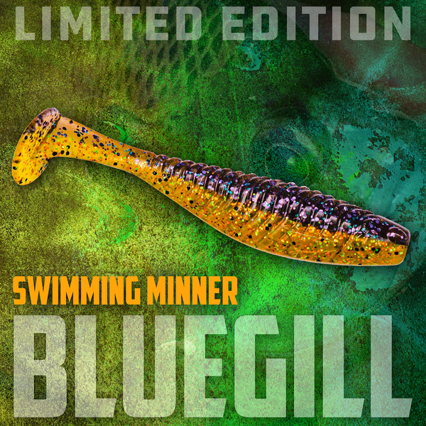 Limited Edition Bluegill Swimming Minner